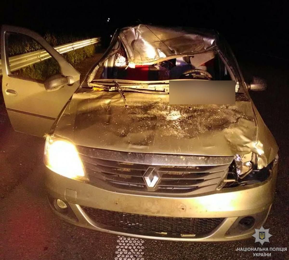 На Полтавщині автомобіль зіштовхнувся з лосем: є загиблі