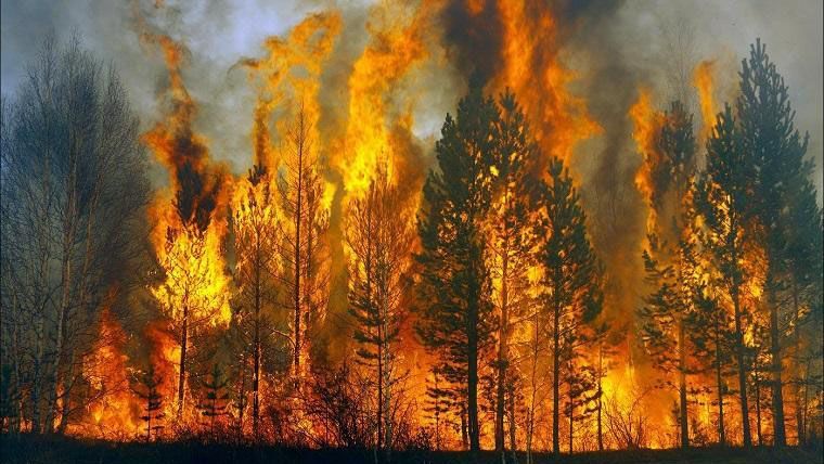 На Херсонщині понад добу не можуть загасити масштабну пожежу: фото