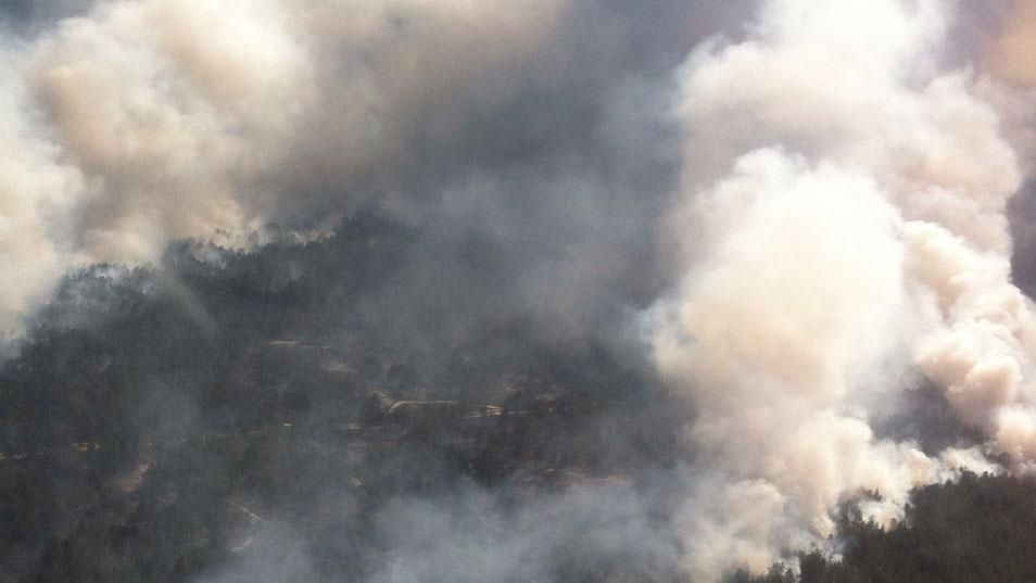 Масштабна пожежа у лісах на Херсонщині: до гасіння залучають рятувальників з чотирьох областей 