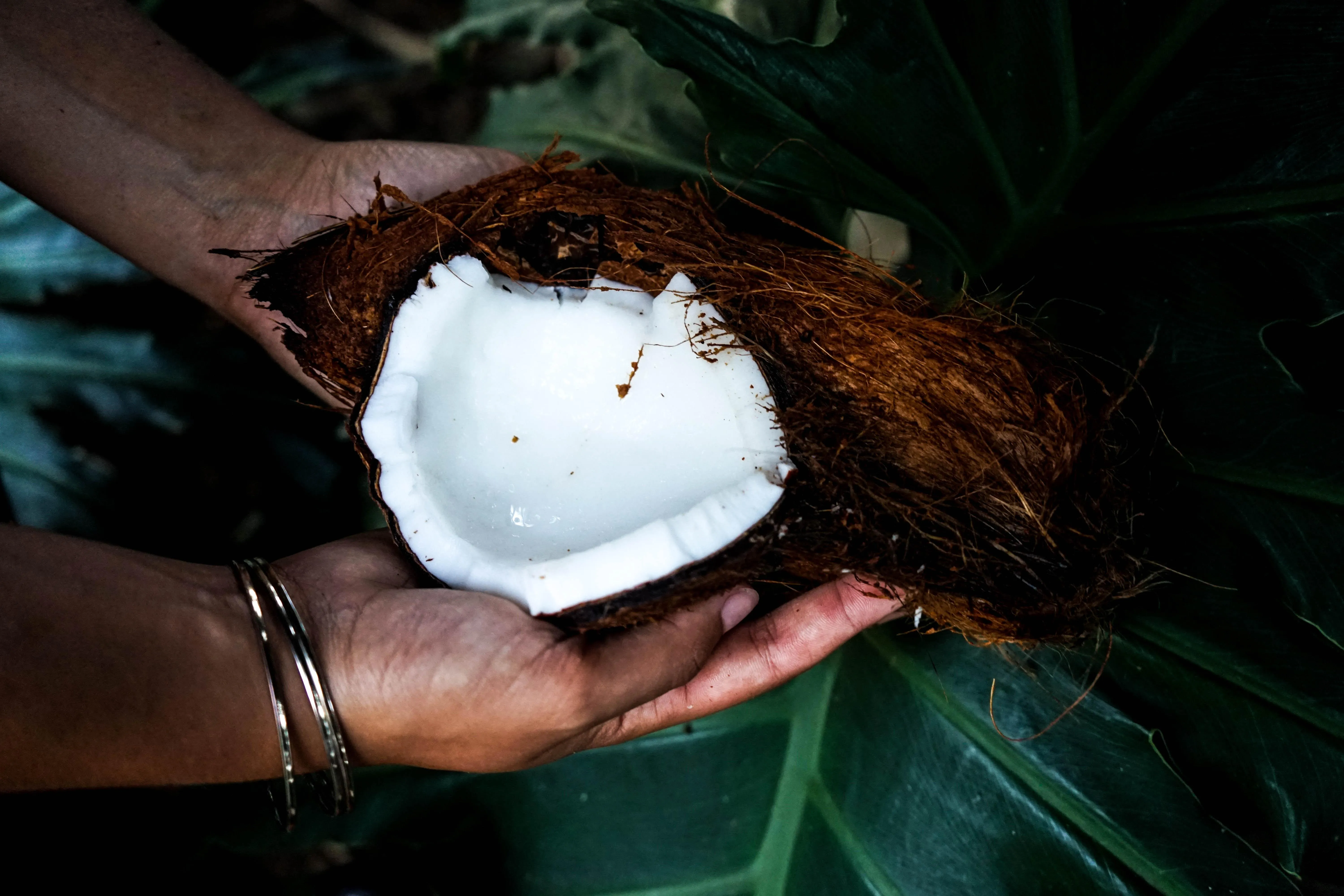 Як відкрити та їсти кокос, як вибрати кокос. рецепти з кокосом 