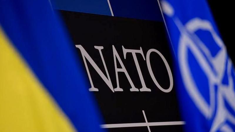 НАТО помогает Украине организовать киберполигон ВСУ