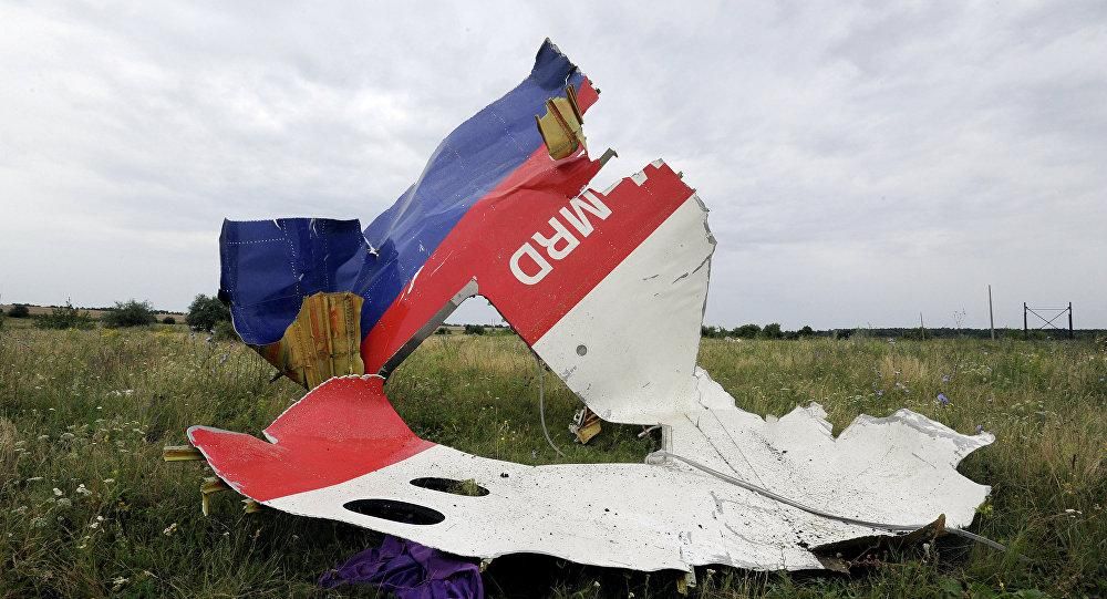 Переконливих доказів причетності Росії до збиття MH17 немає, – міністр транспорту Малайзії Переконливих доказів причетності Росії до збиття MH17 немає, – міністр транспорту Малайзії