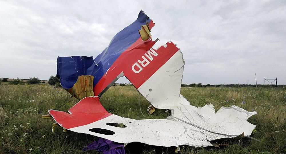 Переконливих доказів причетності Росії до збиття MH17 немає, – міністр транспорту Малайзії