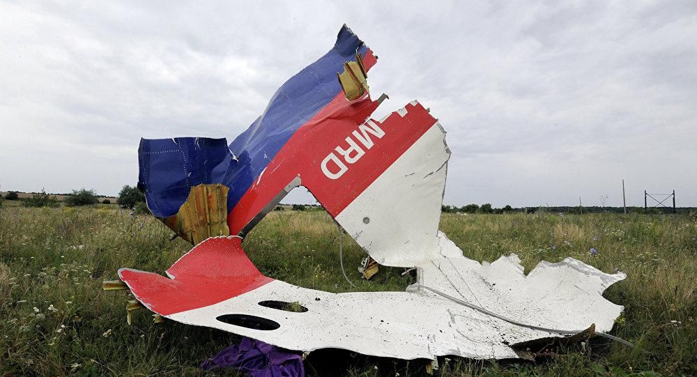 Убедительных доказательств причастности России к сбитию MH17 нет, – министр транспорта Малайзии