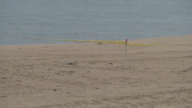 В Нью-Йорке разбился самолет: есть погибшие В Нью-Йорке разбился самолет: есть погибшие