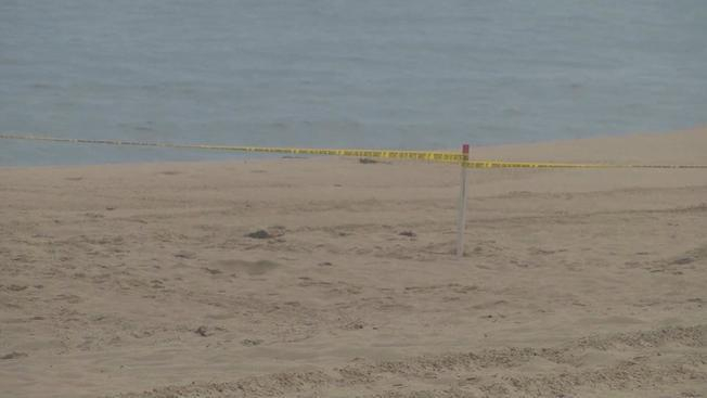 В Нью-Йорке разбился самолет: есть погибшие