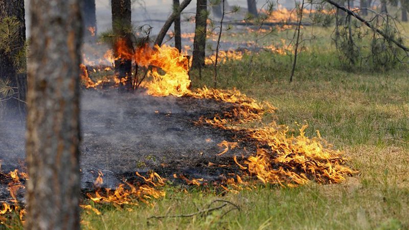 В Україні оголошено найвищий рівень пожежної небезпеки В Україні оголошено найвищий рівень пожежної небезпеки