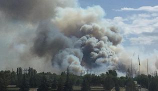 В Чернобыле горит наиболее "радиационная" зона: красноречивые фото