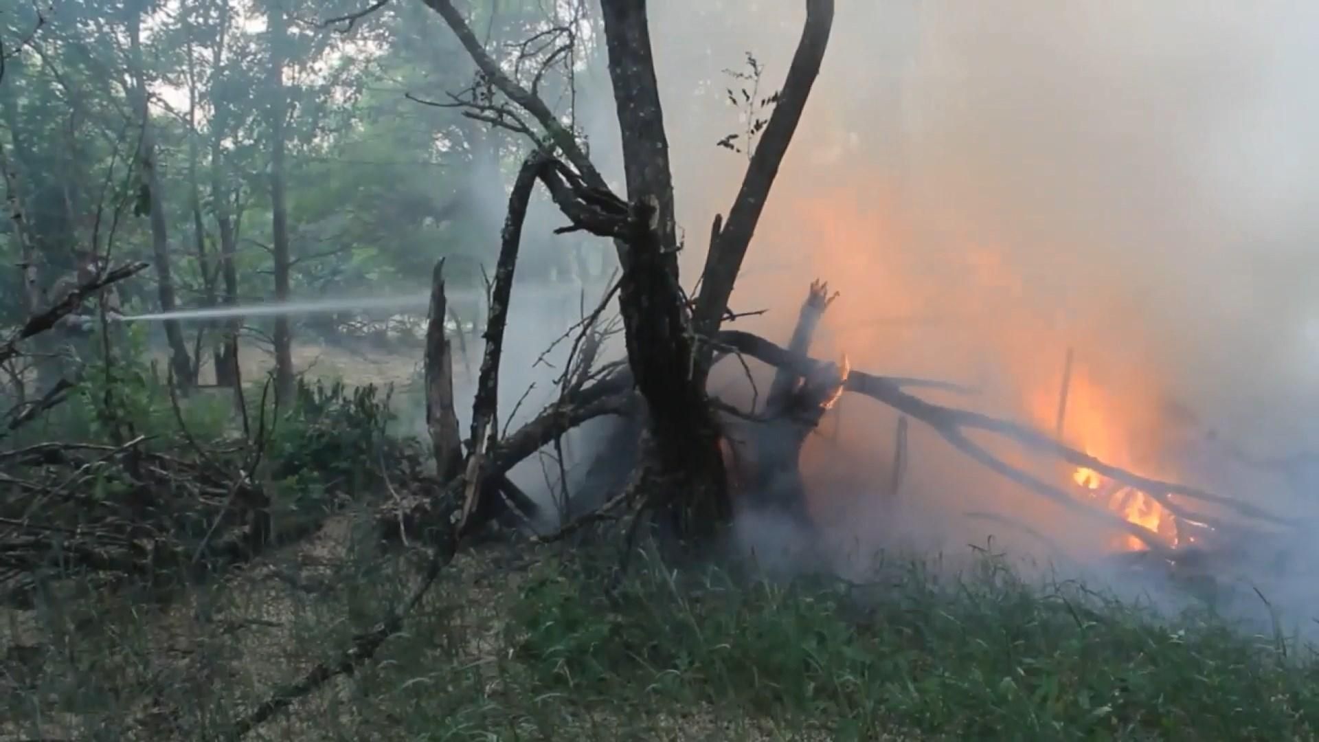 Пожежу у Чорнобильській зоні вдалося локалізувати