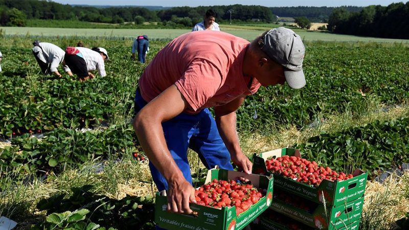 Польщі важко без дешевої робочої сили, – ЗМІ Польщі важко без дешевої робочої сили, – ЗМІ