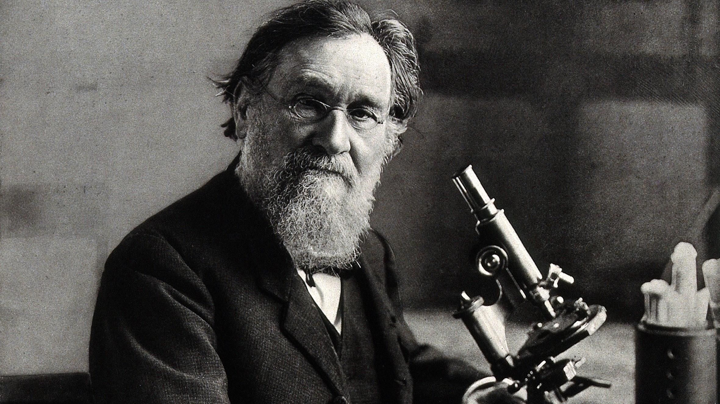 Як зародилася дружба Клима Житника та Іллі Мечникова Як зародилася дружба Клима Житника та Іллі Мечникова