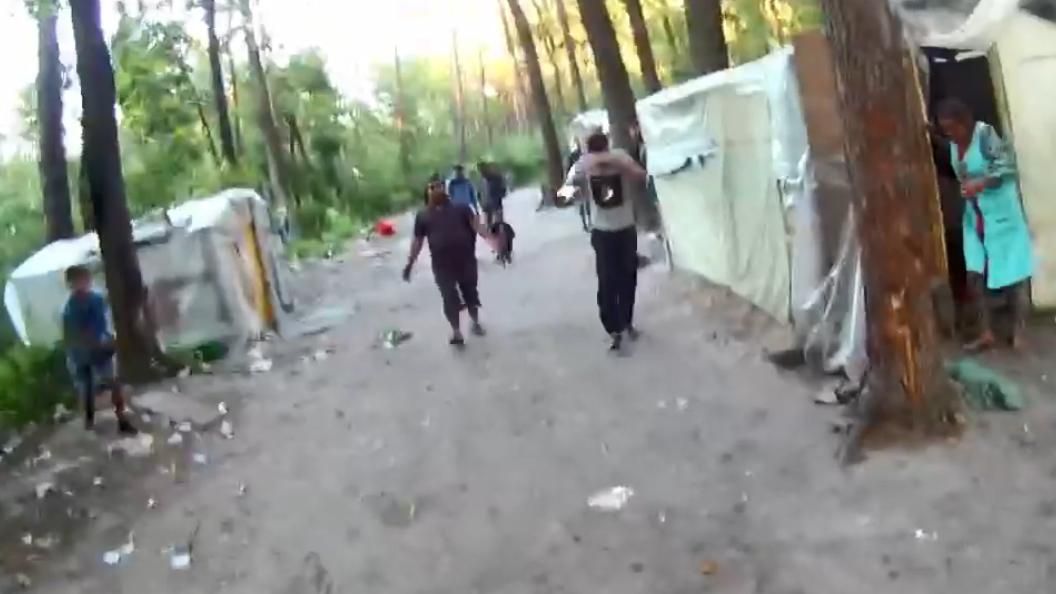 Активісти опублікували відео, як роми закидують камінням еколога у Голосіївському парку 