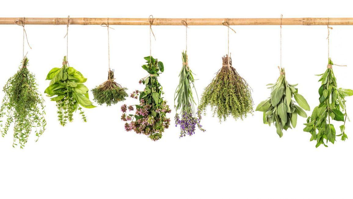 Як з'явилися перші рецепти трав'яних настоянок Клима Житника Як з'явилися перші рецепти трав'яних настоянок Клима Житника