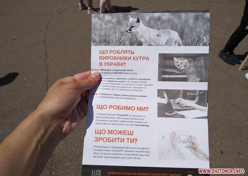 В Житомире пикетировали против строительства опасного предприятия: фото В Житомире пикетировали против строительства опасного предприятия: фото