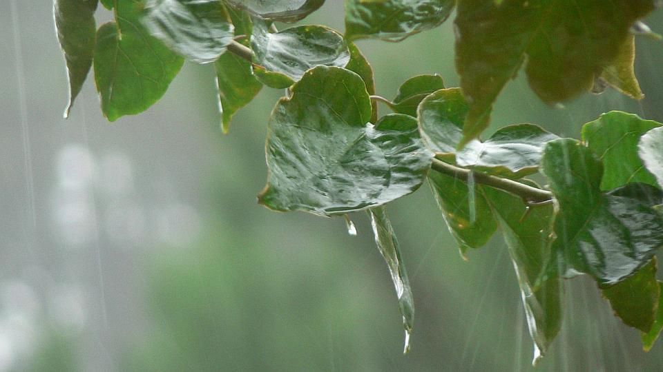 Погода 12 червня 2018 в Україні - синоптик Погода 12 червня 2018 в Україні - синоптик