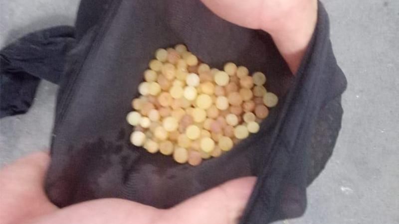 Прикордонники затримали жінку, що намагалася вивезти до Польщі партію бурштину: відео Прикордонники затримали жінку, що намагалася вивезти до Польщі партію бурштину: відео