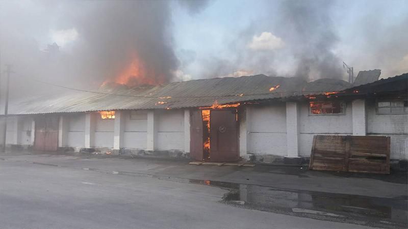 У Жмеринці ліквідовано пожежу на елеваторі: фото
