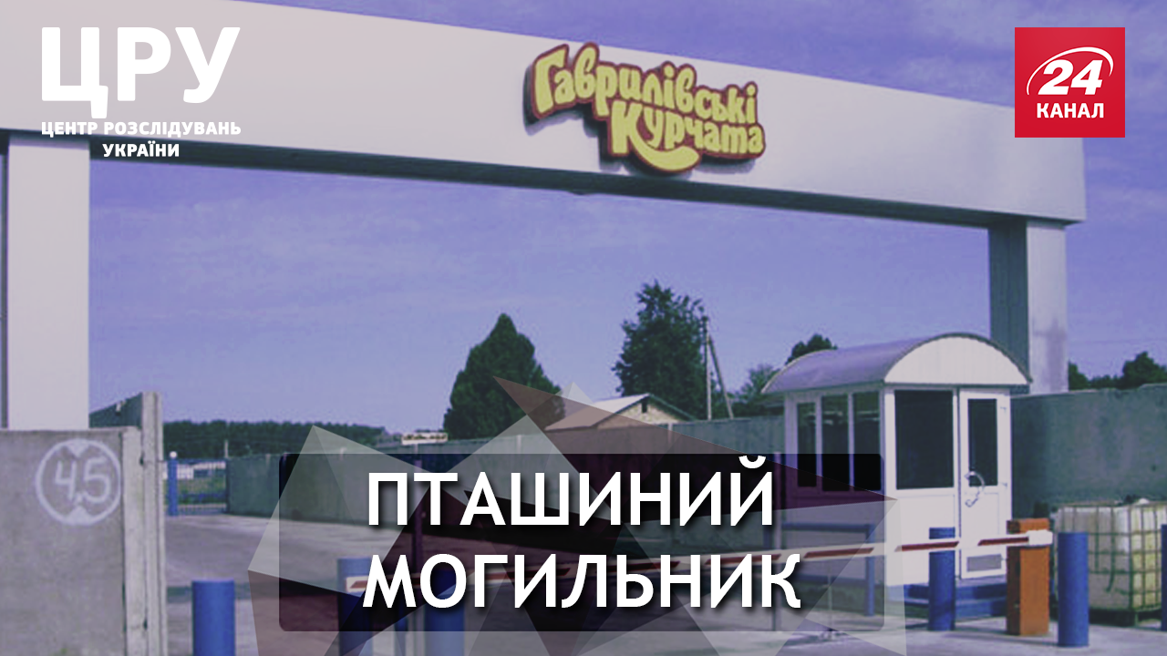 "Гаврилівські курчата": що насправді стоїть за успішним брендом "Гаврилівські курчата": що насправді стоїть за успішним брендом