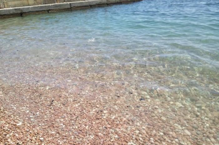 Крымчане жалуются на опасно грязные пляжи в Гурзуфе: фото