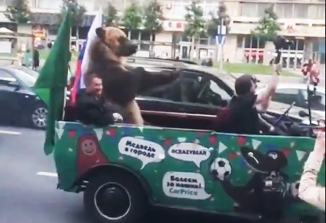 У Москві ведмідь показував гостям ЧС-2018 непристойні жести: відео