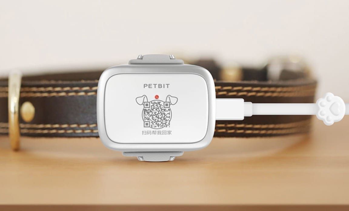 Xiaomi PetBit: огляд, характеристики, фото розумного нашийника