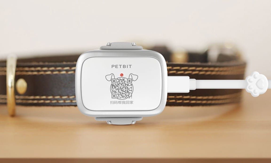 Xiaomi PetBit: огляд, характеристики, фото розумного нашийника Xiaomi PetBit: огляд, характеристики, фото розумного нашийника