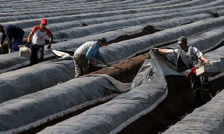 За кордоном постійно працюють 3 млн 200 тисяч українців, – міністр соціальної політики За кордоном постійно працюють 3 млн 200 тисяч українців, – міністр соціальної політики