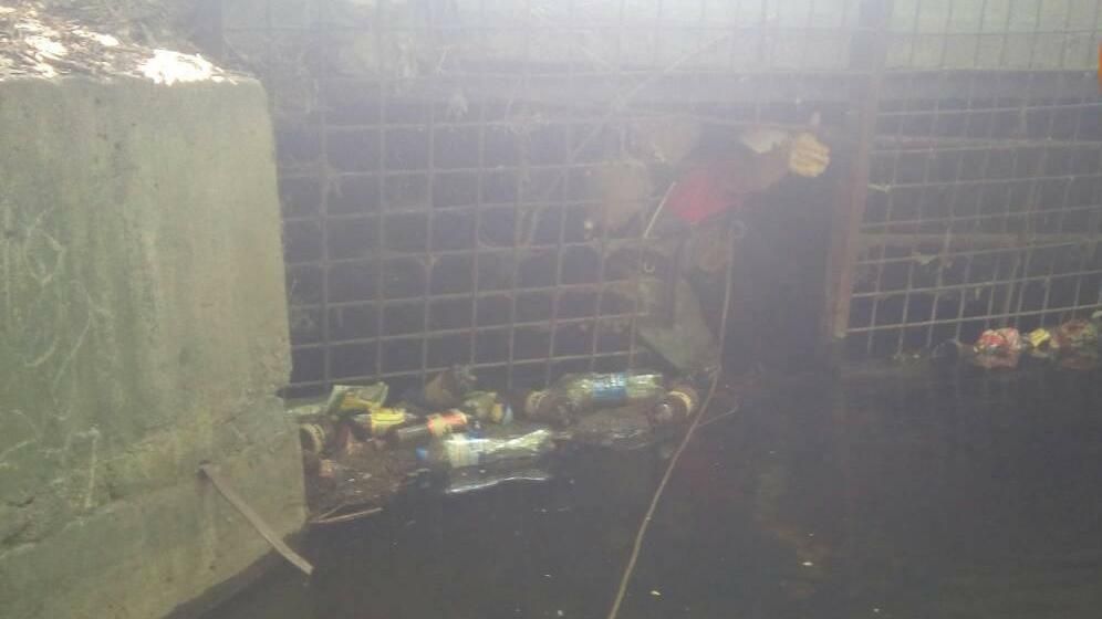 Чоловік знайшов моторошну смерть через зливу у Києві Чоловік знайшов моторошну смерть через зливу у Києві