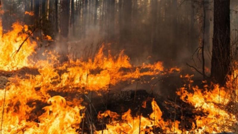 ДСНС попереджає про надзвичайний рівень пожежної небезпеки