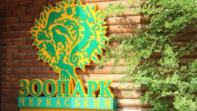 Зоопарк в Черкассах существенно пополнился новорожденными зверушками: фото Зоопарк в Черкассах существенно пополнился новорожденными зверушками: фото