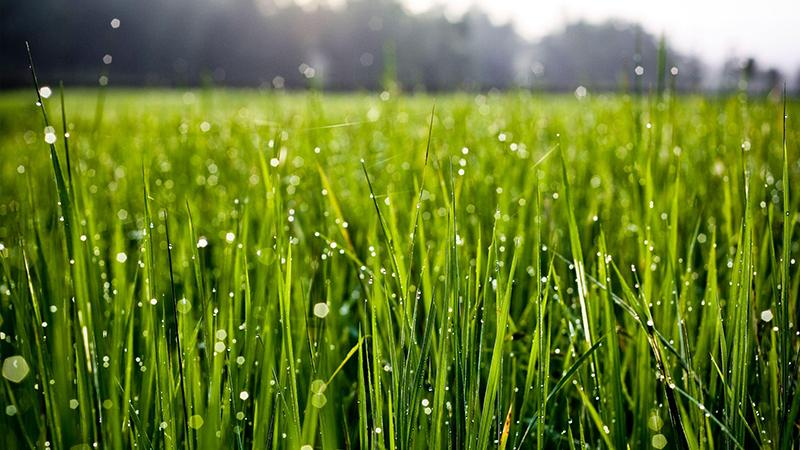 Погода 19 июня 2018 Украина - прогноз синоптика