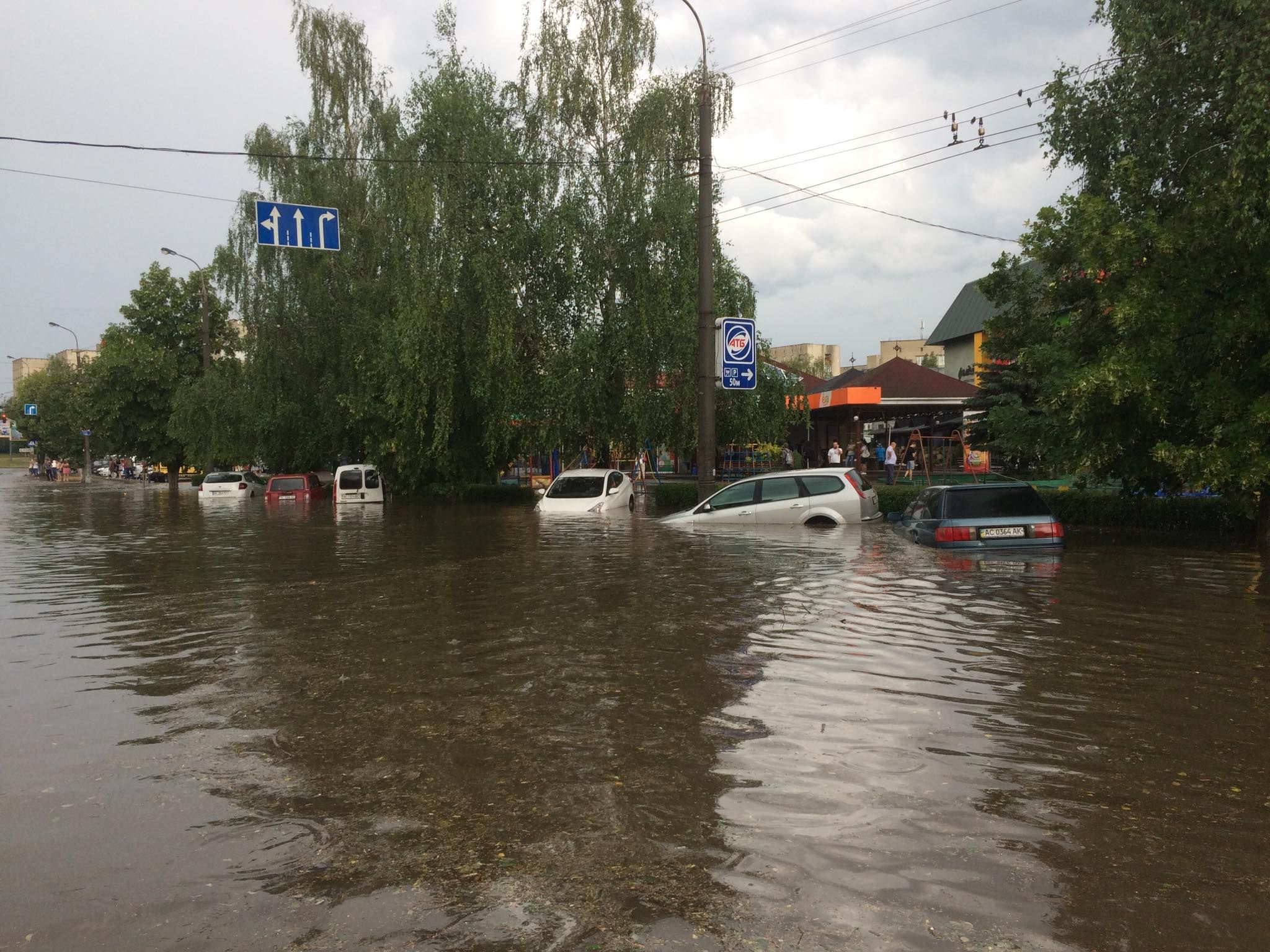 Вулиці-ріки і вирвані дерева: негода наробила біди у Луцьку