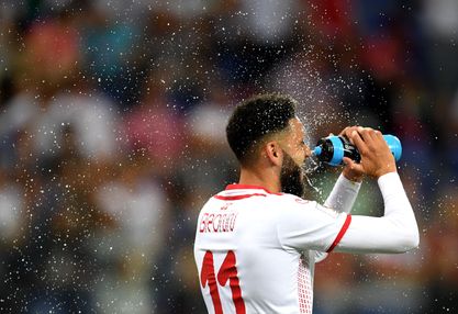 Матч ЧМ-2018 атаковали насекомые: футболисты и журналисты спасались, как могли