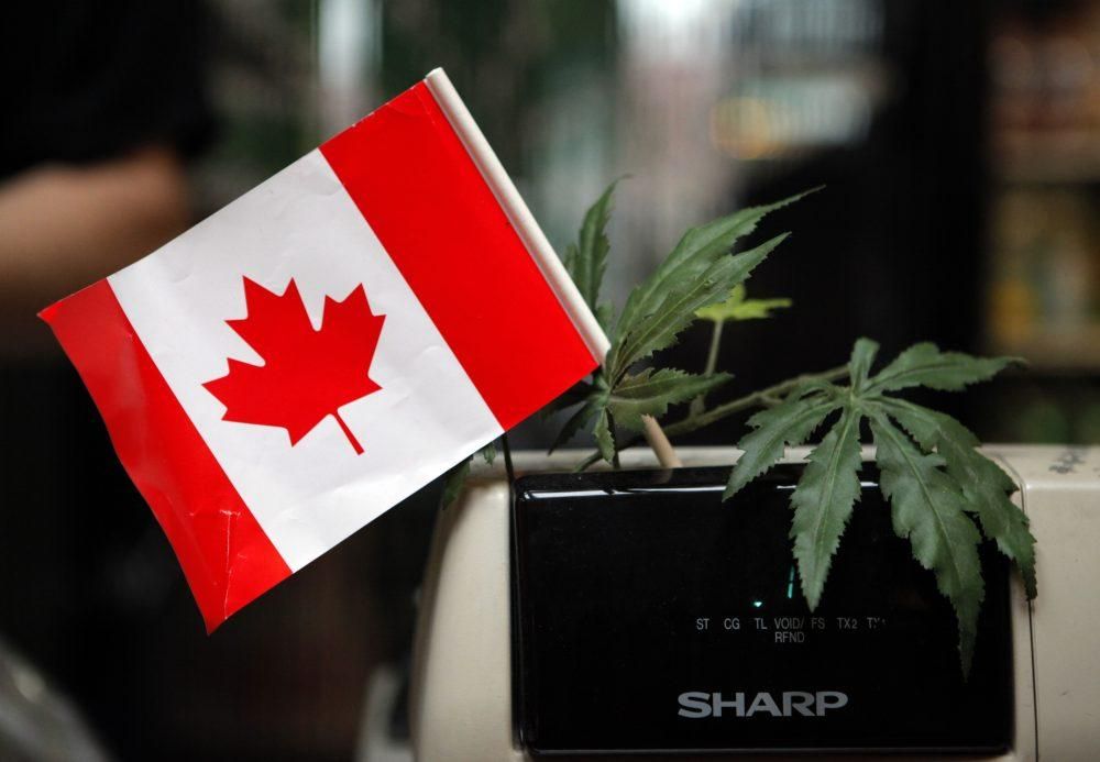 Канада першою з G7 легалізувала марихуану