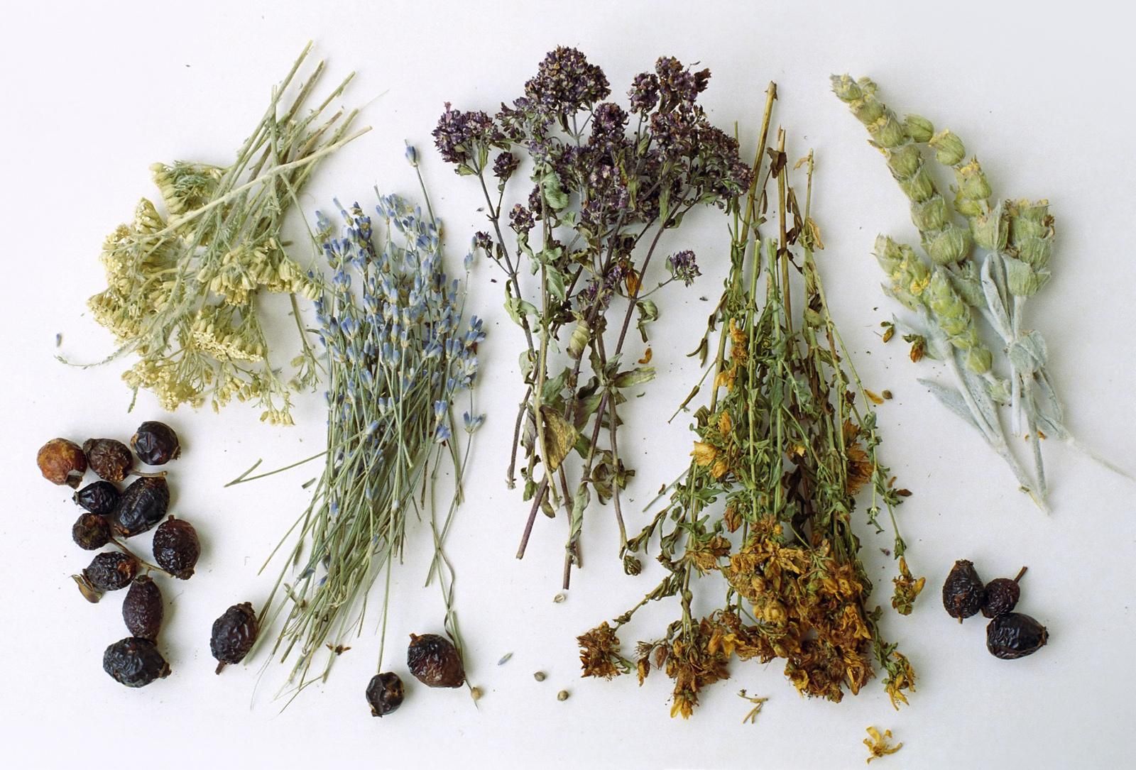 Клим Житник: експерименти з напоями в домашніх умовах Клим Житник: експерименти з напоями в домашніх умовах