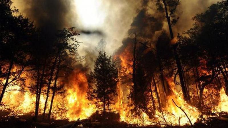 У Криму ввели надзвичайний стан через посуху, – ЗМІ У Криму ввели надзвичайний стан через посуху, – ЗМІ