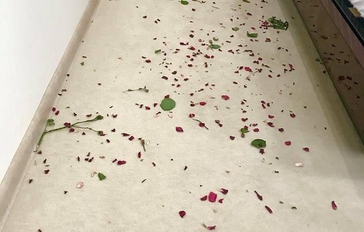 На Киевщине мужчина сначала усыпал кровать женщины розами, а потом украл у нее 4 тысячи долларов