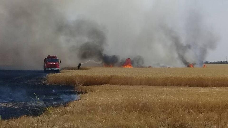 У Миколаївській області вогонь знищив 4,5 гектарів пшениці У Миколаївській області вогонь знищив 4,5 гектарів пшениці