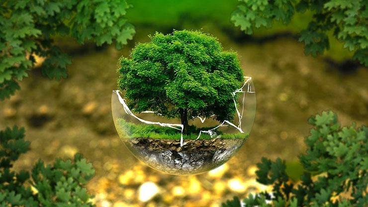 "Сортуй – планету рятуй": еко-активісти намагаються врятувати країну від сміттєвого колапсу