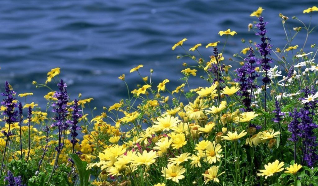 Погода 26 червня 2018 Україна: прогноз погоди від синоптика Погода 26 червня 2018 Україна: прогноз погоди від синоптика