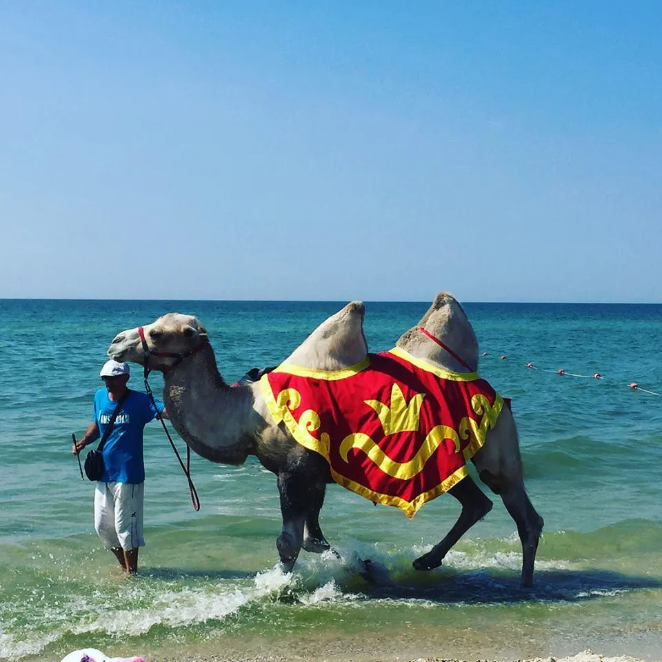 На березі моря На березі моря