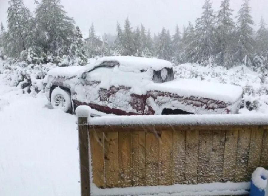 На востоке Канады среди лета выпал обильный снег: фото На востоке Канады среди лета выпал обильный снег: фото