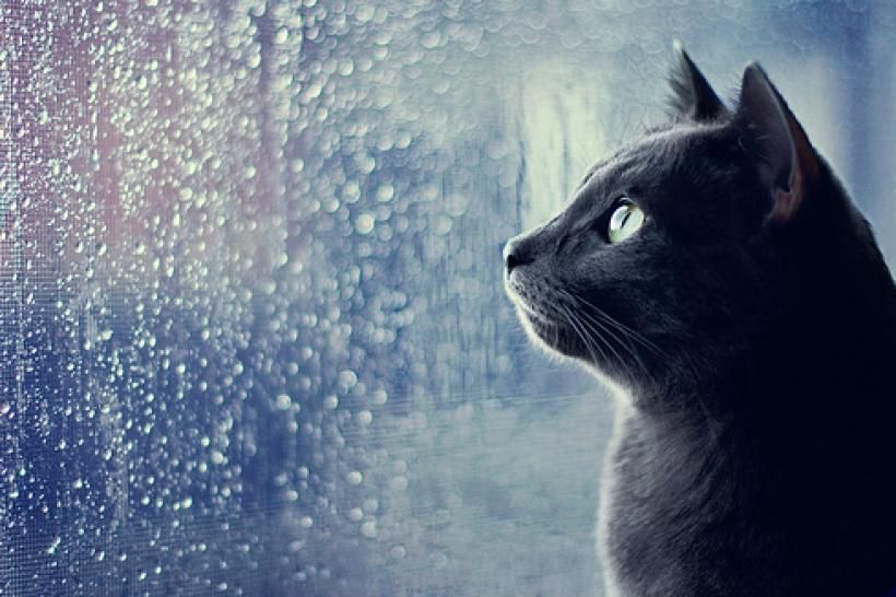 Погода на 30 червня 2018 в Україні - детальний прогноз погоди Погода на 30 червня 2018 в Україні - детальний прогноз погоди