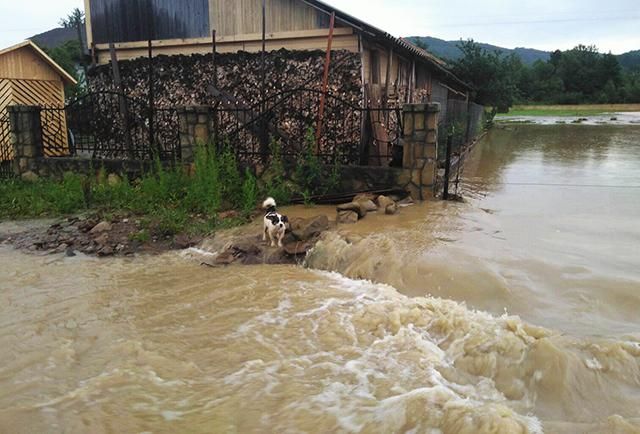 Потужна злива в Івано-Франківську перетворила вулиці на ріки: фото і відео