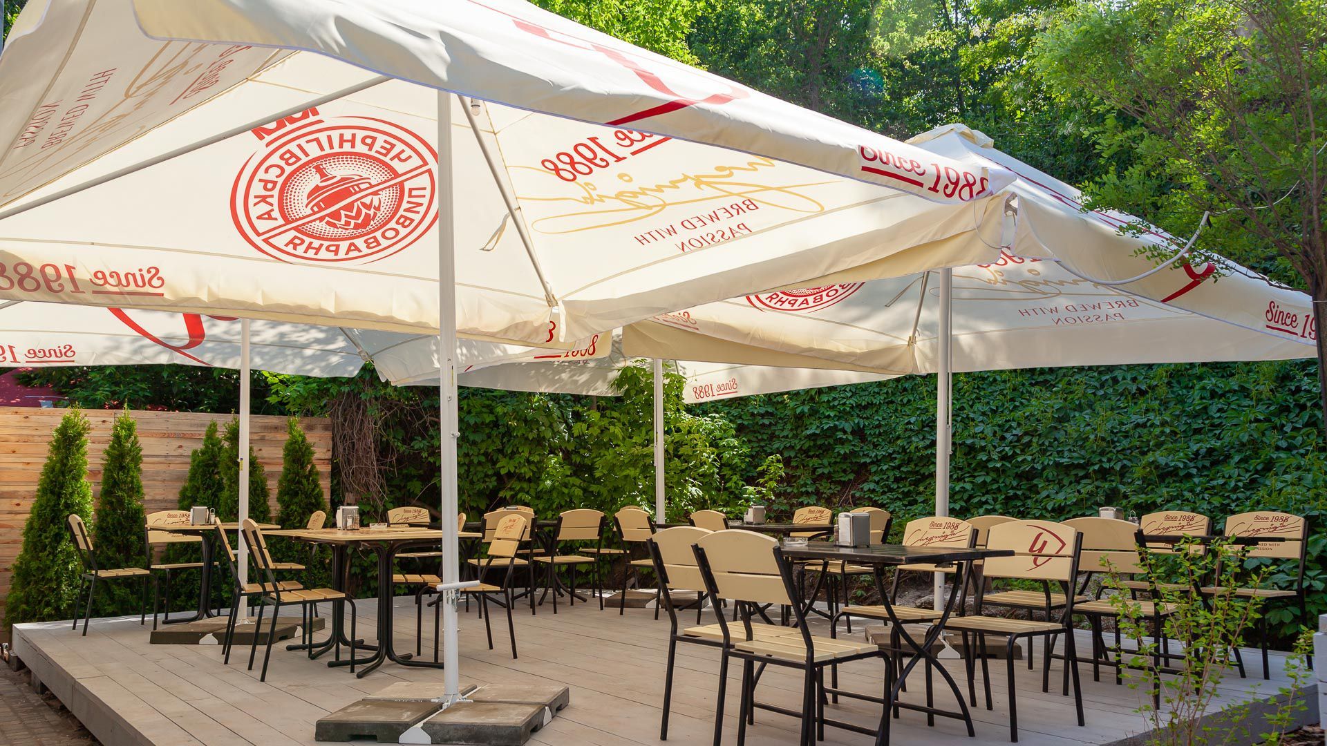 В Киеве функционируют полтысячи незаконных летних площадок В Киеве функционируют полтысячи незаконных летних площадок