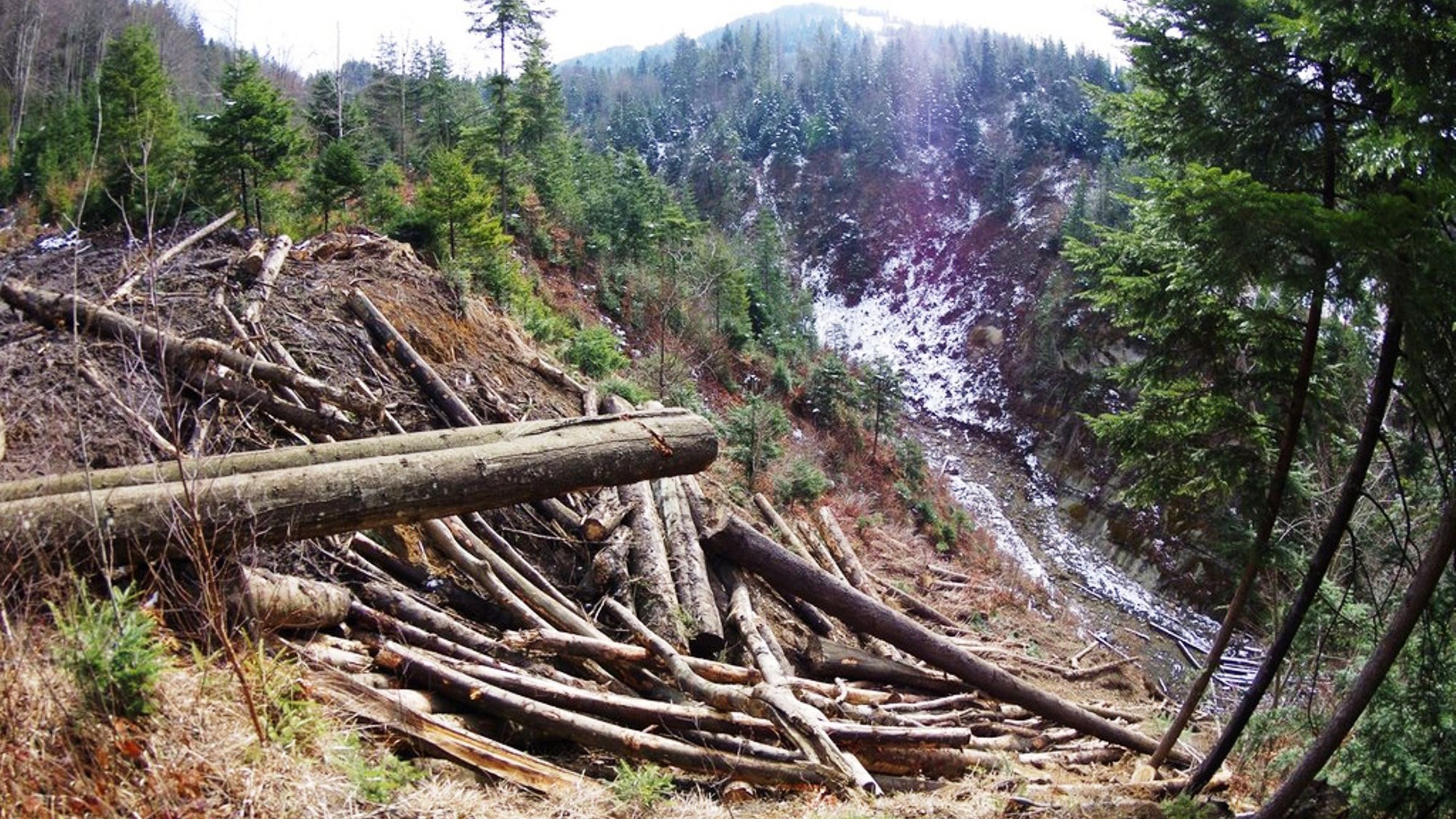 Как государство обеспечило украинцам бедное существование и фактически заставило их воровать Как государство обеспечило украинцам бедное существование и фактически заставило их воровать