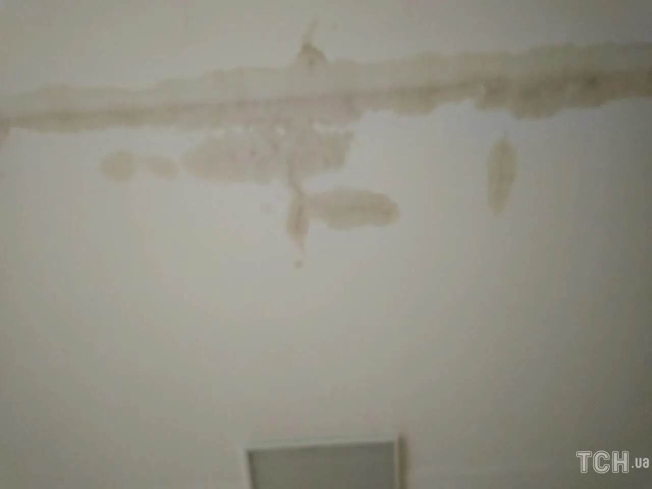 Школа, Київщина, затопило, негода, підрядник, скандал Школа, Київщина, затопило, негода, підрядник, скандал