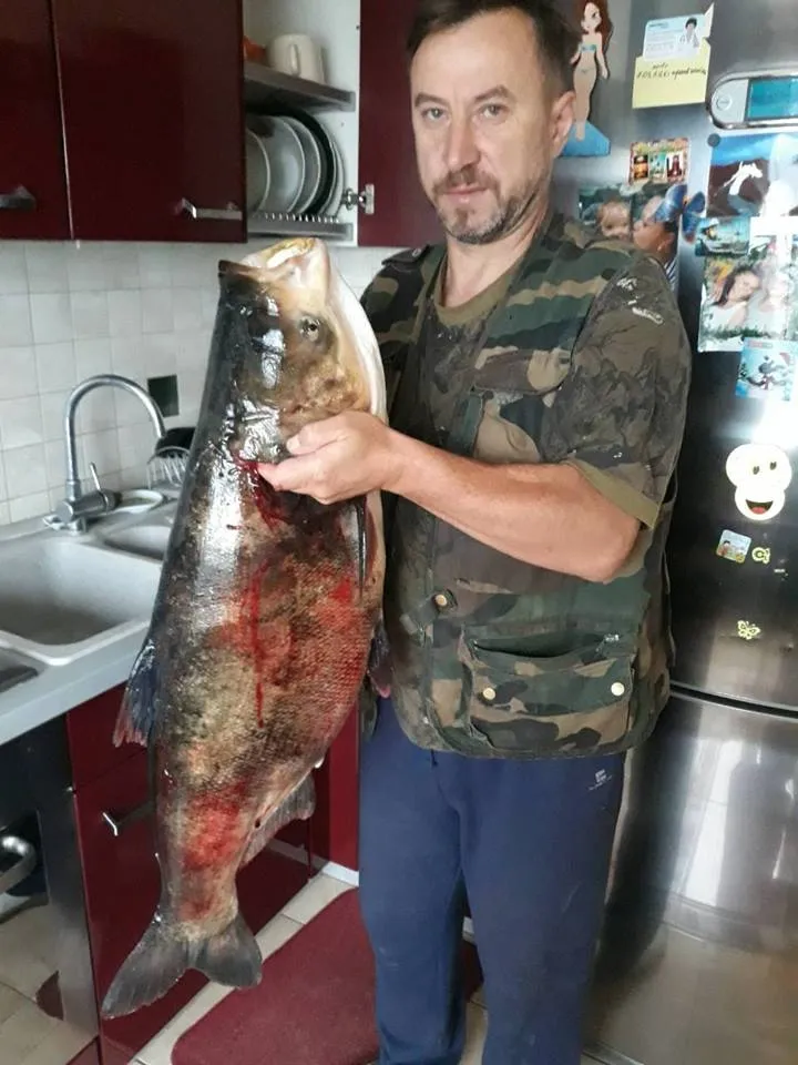 Тернопільщина, риба, рекорд, 16 кілограмів, Лановеччина