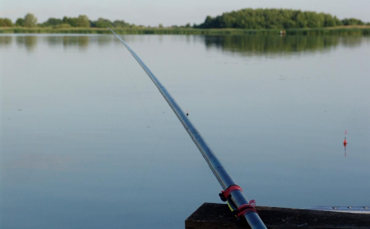 Огромную рыбу удалось поймать жителю Тернопольщины: красноречивые фото Огромную рыбу удалось поймать жителю Тернопольщины: красноречивые фото