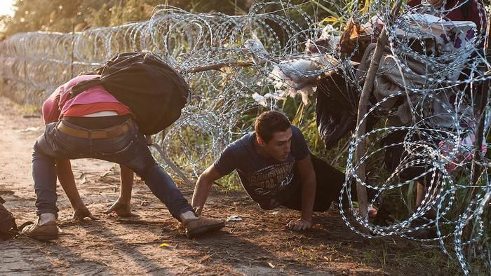 Украинские пограничники задержали две группы нелегальных мигрантов Украинские пограничники задержали две группы нелегальных мигрантов
